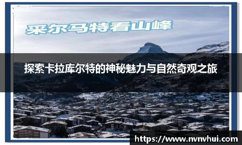 风云体育最新地址