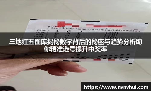 三地红五图库揭秘数字背后的秘密与趋势分析助你精准选号提升中奖率